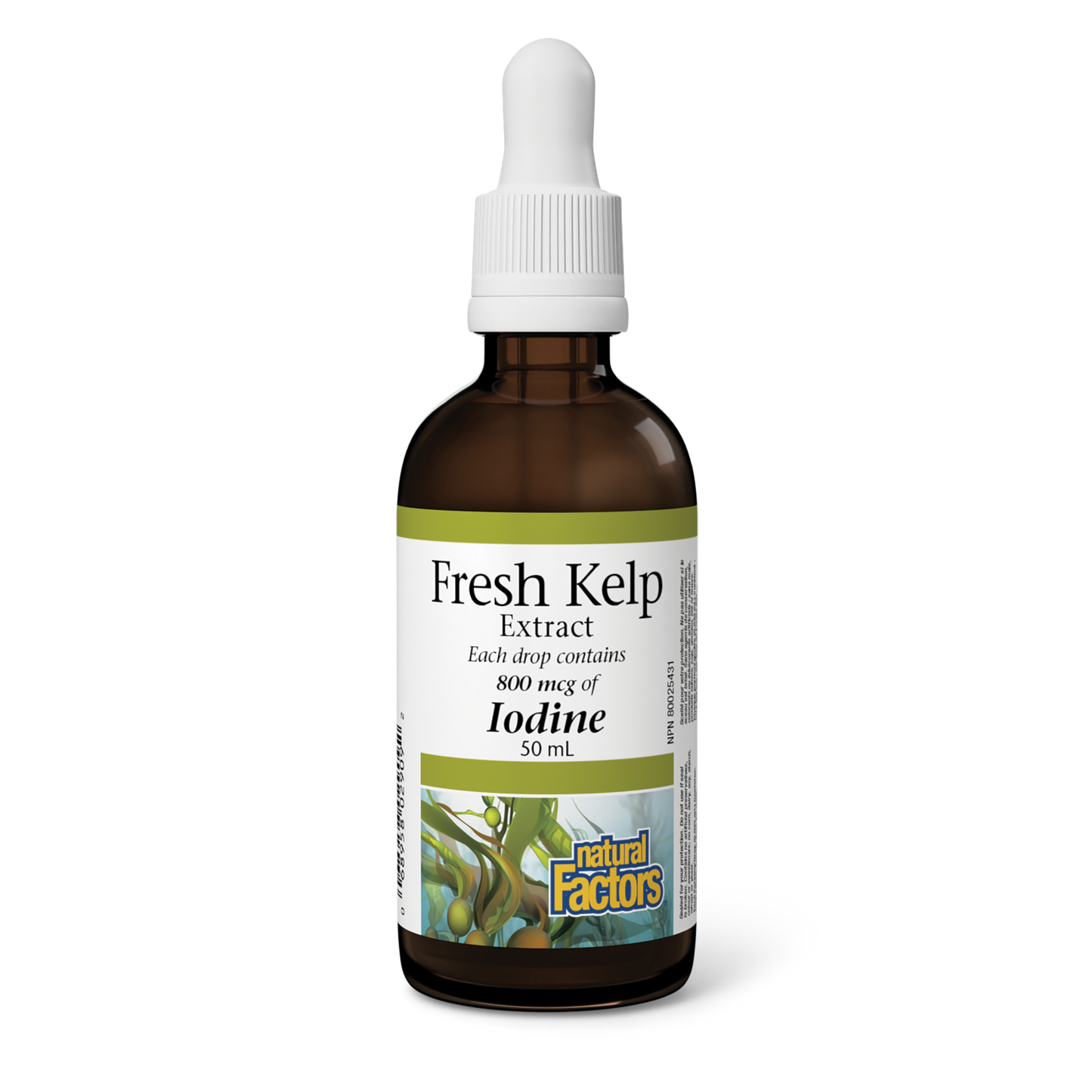 Fresh Kelp 800mcg 50ml
