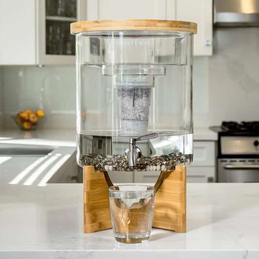 Santevia Glass water system