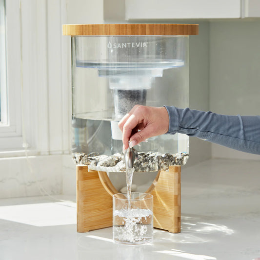 Santevia Glass water system