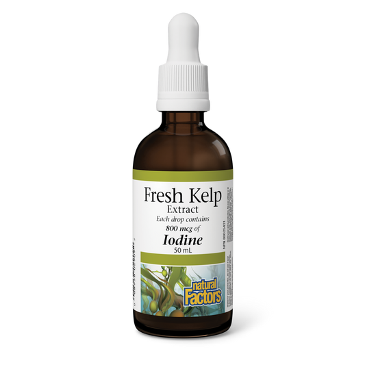 Fresh Kelp 800mcg 50ml