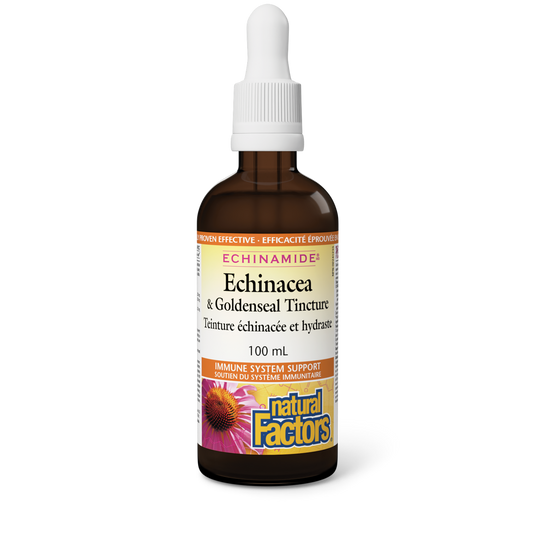 Echinacea & Godenseal Tincture 100ml