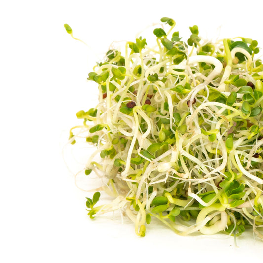 Organic Broccoli Brassica Blend 100g