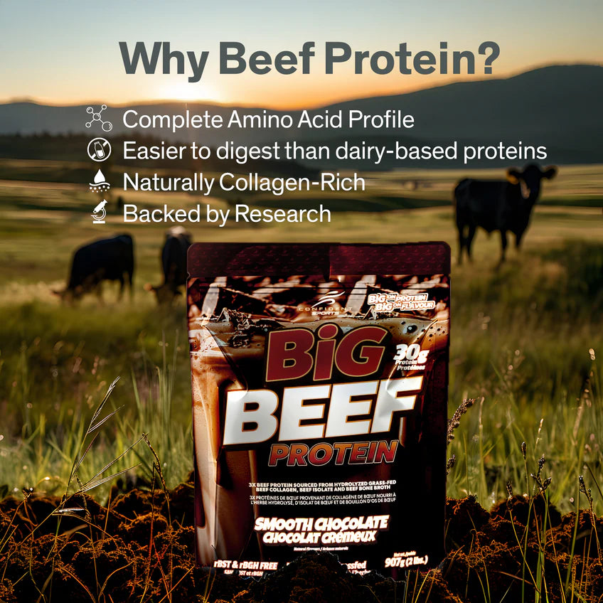 Big Beef Protein Chocolate 907g