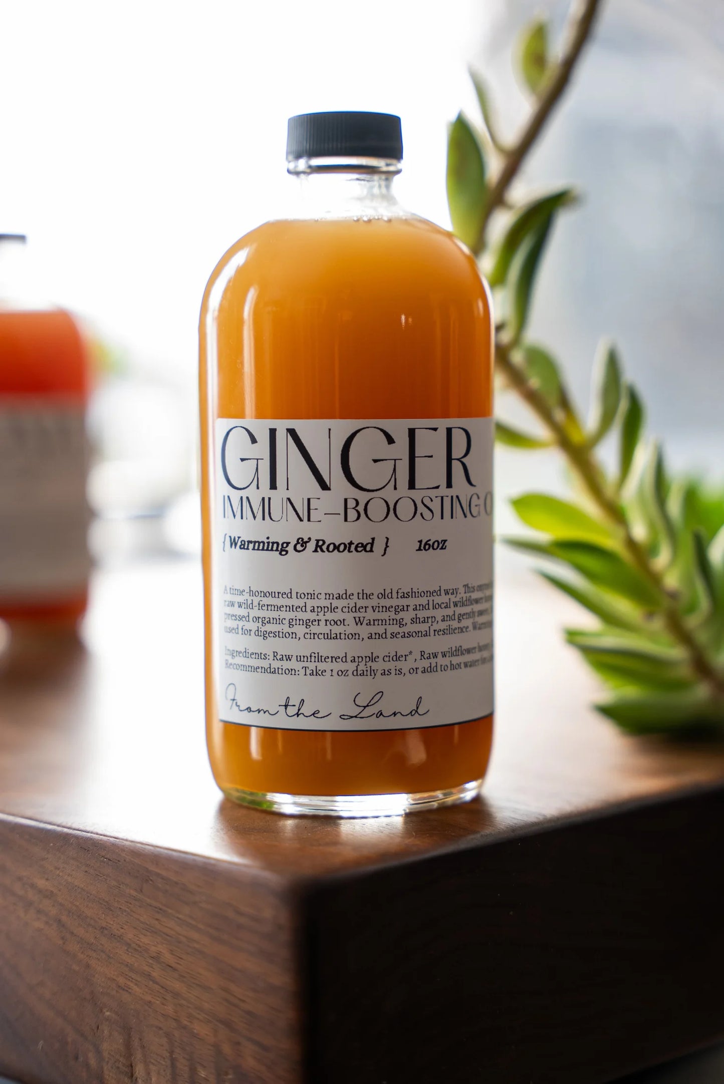 Ginger Oxymel 16oz