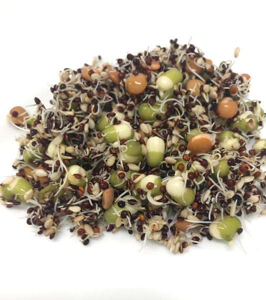Organic Salad Bowl Blend 100g