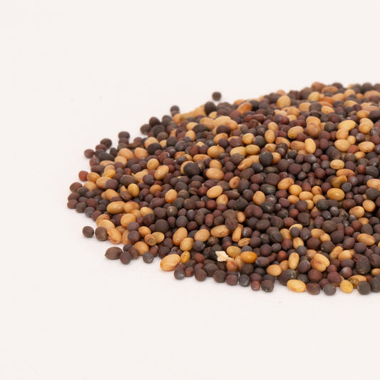 Organic Mellow Microgreen Mix 100g