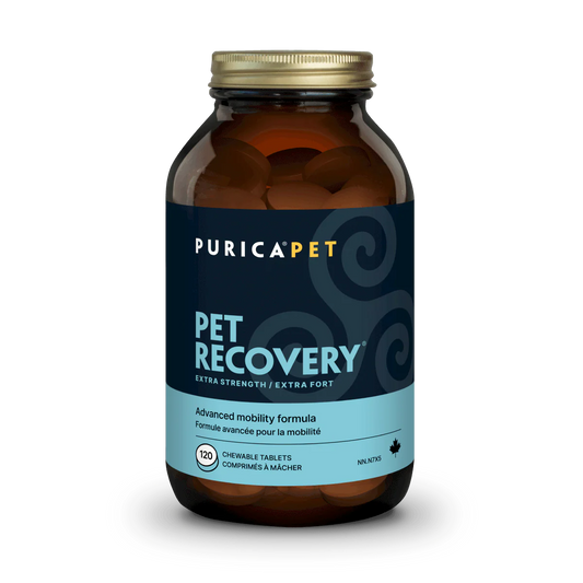 Pet Recovery Extra Strength 120 chews