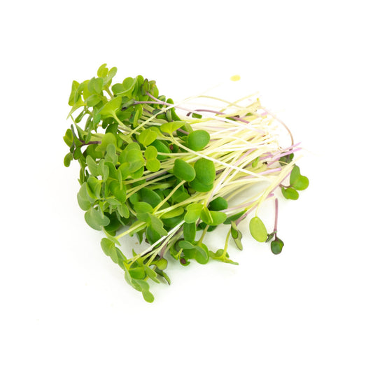 Organic Mellow Microgreen Mix 100g