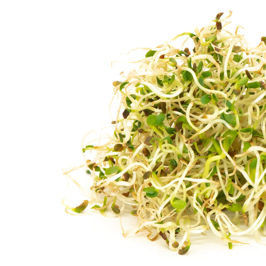 Organic Spring Salad Sprouting Mix 100g