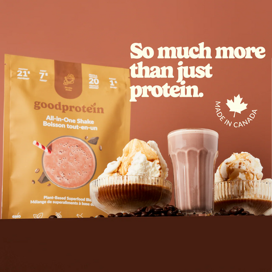All in One Shake Mocha 440g