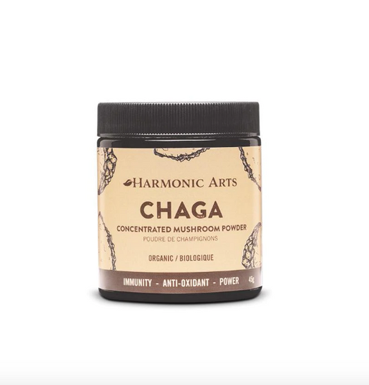 Chaga Mushroom extract powder 45g