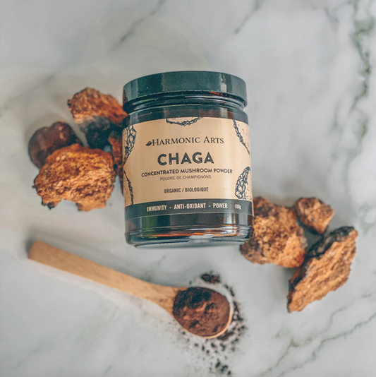 Chaga Mushroom extract powder 45g