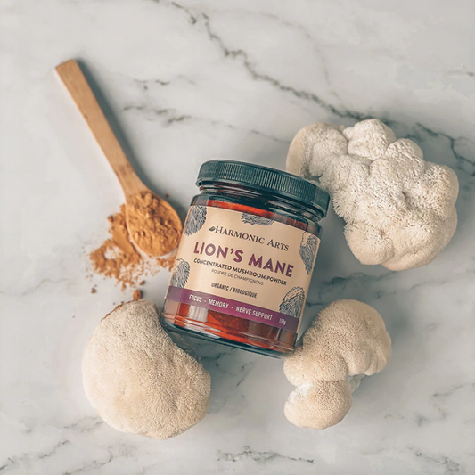 Lion’s Mane Mushroom extract powder 45g