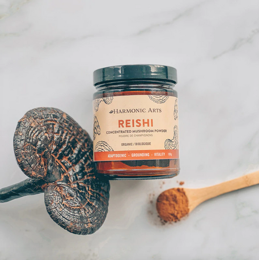 Reishi Mushroom extract powder 45g
