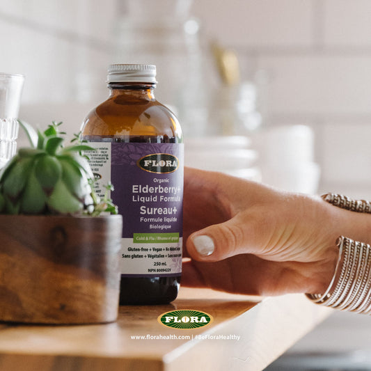 Sambu Guard Elderberry+ liquid formula 500ml